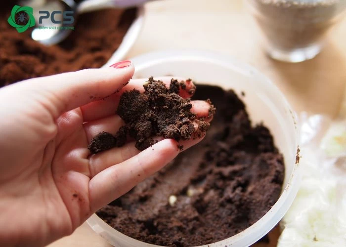 dầu gió có đuổi được gián không